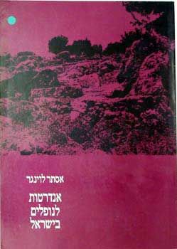 אנדרטות לנופלים בישראל / אסתר לוינגר