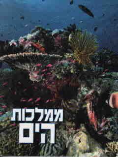 ממלכות הים / קנת בראוור