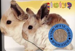 ארנבון וחברים-סדרת פעוטון / 