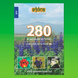 280 מסלולי פריחה צבעוניים | צפון - 95 מסלולי פריחה בצפון הארץ - (כרך 1 מתוך 3) / ערן גל-אור דוד גל-אור