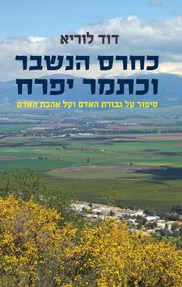 כחרס הנשבר וכתמר יפרח / דוד לוריא