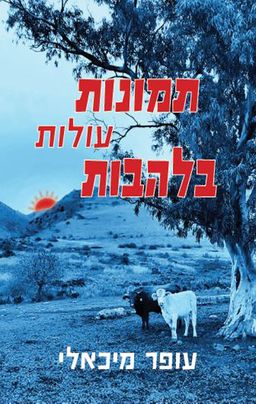 תמונות עולות בלהבות - עופר מיכאלי