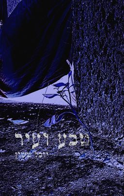 טבע ועיר / יובל ששון