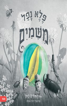 פלא נפל משמיים - It Fell From The Sky - האחים פאן