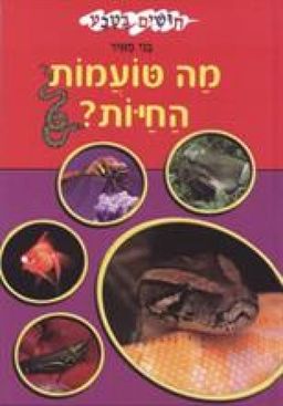 מה טועמות החיות? - חושים בטבע # / בני מאיר מה טועמות החיות? - חושים בטבע # / בני מאיר