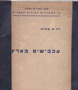 עכבישים בארץ / אהרן שולוב