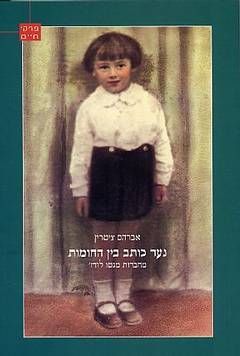 נער כותב בין החומות - מחברות מגטו לודז' / אברהם ציטרין
