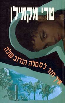 איך חזר לסטלה הגרוב שלה / טרי מקמילן