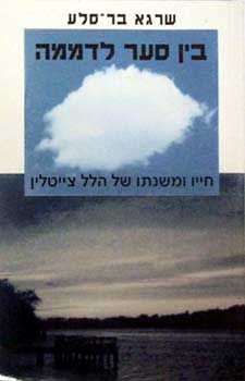 בין סער לדממה / בר סלע שרגא