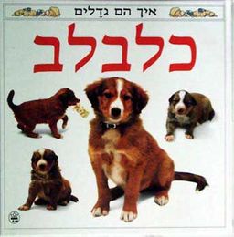 כלבלב - איך הם גדלים / 
