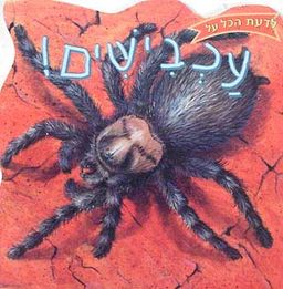 לדעת הכל על עכבישים! / כריסטופר ניקולס