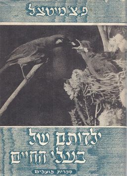 ילדותם של בעלי-החיים / פ מיטצ'ל