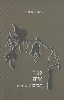 אחרי ימים רבים - שירים - ניצה תדמור