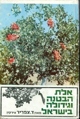 אלת הבטנה וגידולה בארץ / ד צפריר
