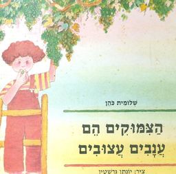 הצמוקים הם ענבים עצובים / שולמית כהן