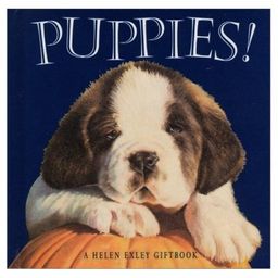 Puppies! / Pam Brown