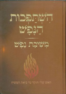 השתפכות הנפש משיבת נפש / ר ישראל דב