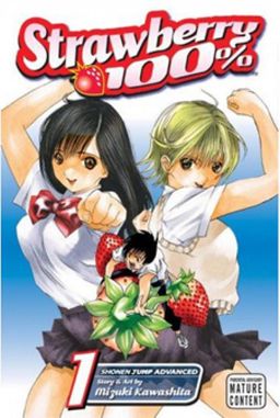 Strawberry 100% - vol.1 - Mizuki Kawashita