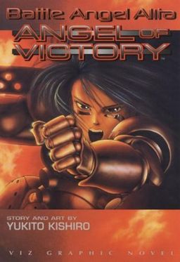 Battle angel alita angel of victory - Yukito Kishiro