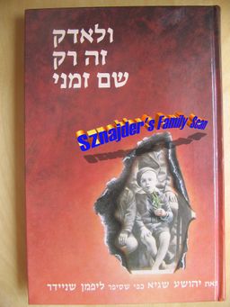 ולאדק זה רק שם זמני - יהושע שגיא וליפמן שניידר ולאדק זה רק שם זמני - יהושע שגיא וליפמן שניידר