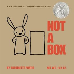 Not a Box / Antoinette Portis