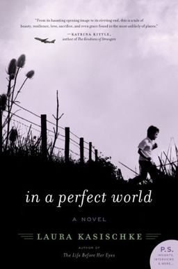 In a Perfect World: A Novel / Laura Kasischke In a Perfect World: A Novel / Laura Kasischke