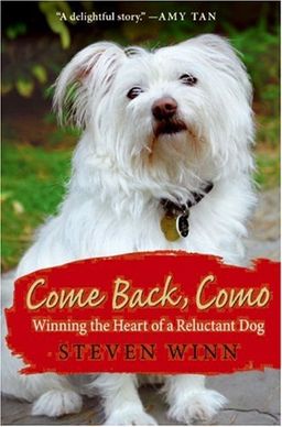 Come Back, Como: Winning the Heart of a Reluctant Dog / Steven Winn
