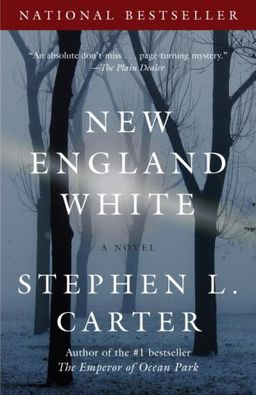 New England White (Vintage Contemporaries) / Stephen L. Carter