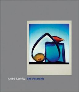 André Kertész: The Polaroids / André Kertész André Kertész: The Polaroids / André Kertész