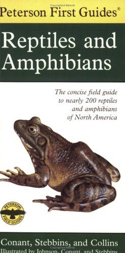 Peterson First Guide to Reptiles and Amphibians / Robert C. Stebbins