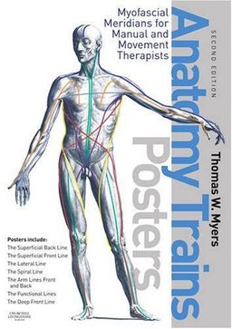 The Anatomy Trains Posters - Thomas W. Myers LMT  NCTMB  ARP  Certified Rolfer
