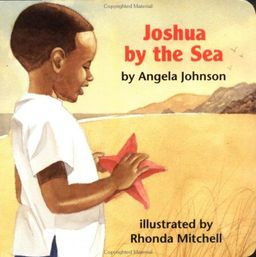 Joshua By The Sea / Angela Johnson