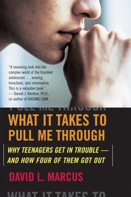 What It Takes To Pull Me Through: Why Teenagers Get in Trouble and How Four of Them Got Out / David L. Marcus What It Takes To Pull Me Through: Why Teenagers Get in Trouble and How Four of Them Got Out / David L. Marcus