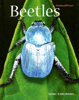 Beetles (Animal Ways) / Marc Zabludoff Beetles (Animal Ways) / Marc Zabludoff