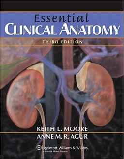 Essential Clinical Anatomy (Point (Lippincott Williams & Wilkins)) - Keith  L Moore Essential Clinical Anatomy (Point (Lippincott Williams & Wilkins)) - Keith  L Moore