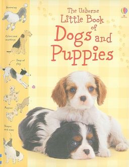 The Usborne Little Book of Dogs and Puppies - Phillip Clarke