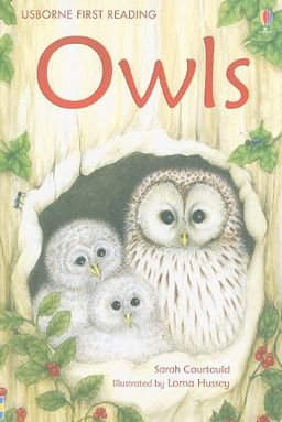 Owls (Usborne First Reading: Level 4) / Sarah Courtauld