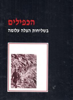 הכפילים בשליחות הצלה עלומה - פ. כרמי