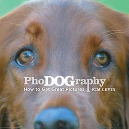 PhoDOGraphy: How to Get Great Pictures of Your Dog - Kim Levin