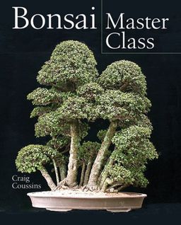 Bonsai Master Class / Craig Coussins