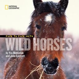 Face to Face With Wild Horses (Face to Face with Animals) / Yva Momatiuk Face to Face With Wild Horses (Face to Face with Animals) / Yva Momatiuk