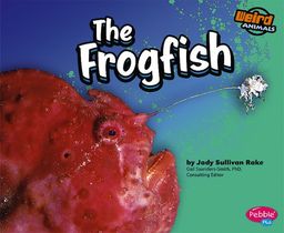 The Frogfish (Pebble Plus) / Rake The Frogfish (Pebble Plus) / Rake