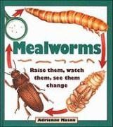 Mealworms: Raise them, watch them, see them change / Adrienne Mason Mealworms: Raise them, watch them, see them change / Adrienne Mason