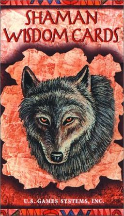 Shaman Wisdom Cards - Leita Richesson