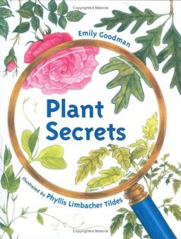 Plant Secrets / Emily Goodman Plant Secrets / Emily Goodman