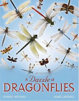 A Dazzle of Dragonflies - Forrest L. Mitchell A Dazzle of Dragonflies - Forrest L. Mitchell
