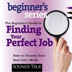 The Beginner's Guide to Finding You Perfect Job / Rick Jarow