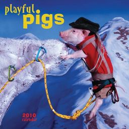 Playful Pigs 2010 Wall Calendar - Time Factory Publishing