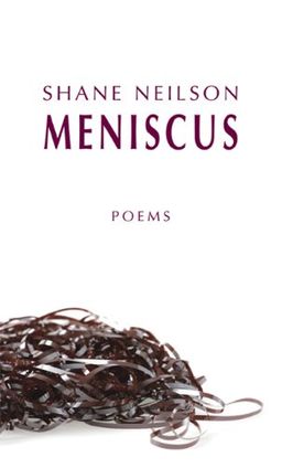 Meniscus - Shane Neilson