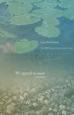 We Agreed to Meet Just Here (Awp Award Series in the Novel) - Scott Blackwood